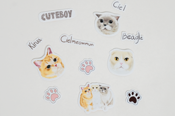 CuteBoy x Cielmeowmun Stickers Set
